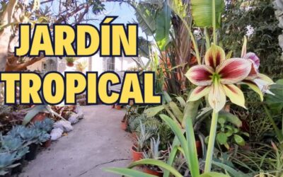 Secretos del Paisajismo en Jardines Tropicales