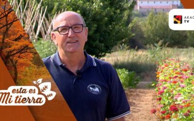 Flores autóctonas de Coruña: Belleza natural en Galicia