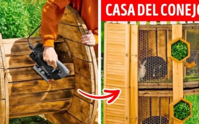 Manualidades al aire libre: Ideas creativas para jardines