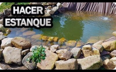 Puentes para Jardines Acuáticos: Elementos Esenciales de Diseño