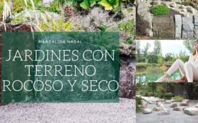 Diseño de Arquitectura Paisajística para Jardines Desérticos
