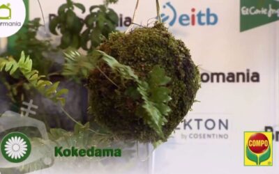 Kokedama: arte japonés en tu jardín