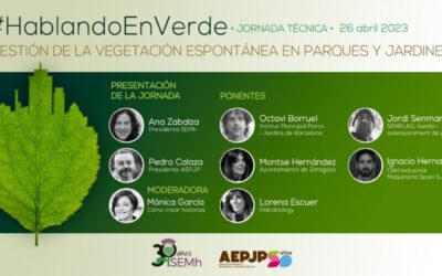 Planes de Embellecimiento de Áreas Verdes: Estrategias Efectivas