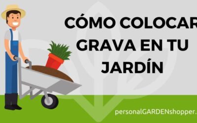 Tratamiento de suelos áridos: Guía para Jardines Exuberantes