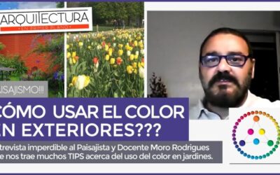 Paletas de colores ideales para embellecer tu jardín