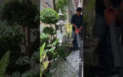 Guía de Mantenimiento para Jardines Zen