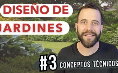 Armonía de colores y texturas en jardines: guía esencial