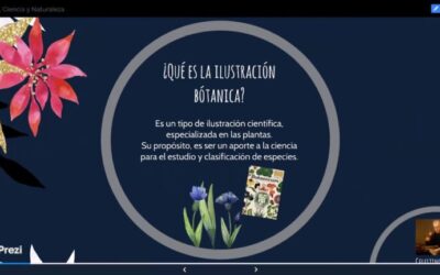 Clases Especializadas de Botánica: Avanzando en el Estudio de las Plantas