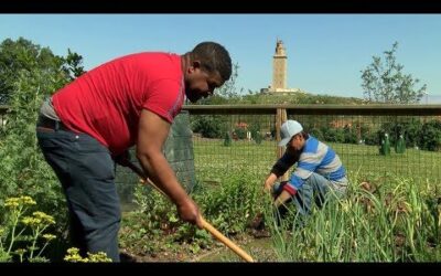 La tendencia de los huertos urbanos en Coruña
