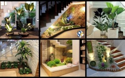 Plantas recomendadas para jardines minimalistas