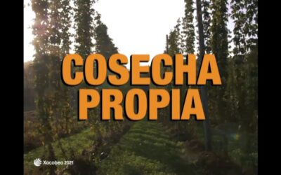 Variedades de Cerveza Estrella Galicia: Una Guía Completa