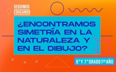La Belleza de la Simetría en la Naturaleza