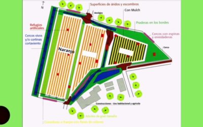 Guía para la creación de un huerto de árboles frutales