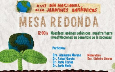 Explorando los beneficios de los jardines botánicos