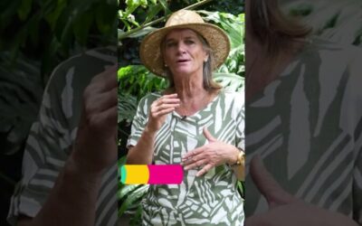 Optimización del riego en jardines tropicales