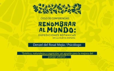 Mejora del Paisaje Urbano: Estrategias y Beneficios