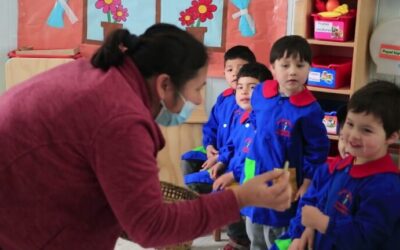 Experiencias en Jardinería Local: Consejos y Aprendizajes