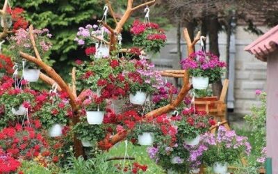 Jardines Colgantes en Interiores: Ideas para Crear Espacios Verdes Únicos
