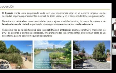La diversidad de especies vegetales en jardines urbanos