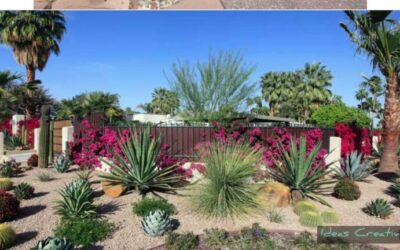 Diseño de jardines desérticos: arquitectura paisajística
