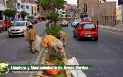 Optimización del Mantenimiento de Áreas Verdes