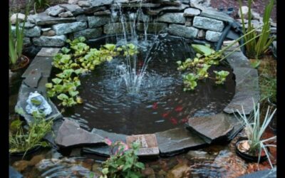 Armonía en el Diseño de Jardines: Claves para un Espacio Exterior Perfecto
