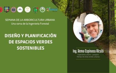 Creación de Espacios Verdes Sostenibles: Una Guía Práctica
