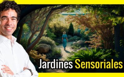 Plantas sensoriales: una adición imprescindible para jardines