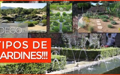 Diseño de jardines árabes: Belleza y armonía en el paisajismo