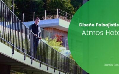 Ideas de Diseño Paisajístico en Galicia