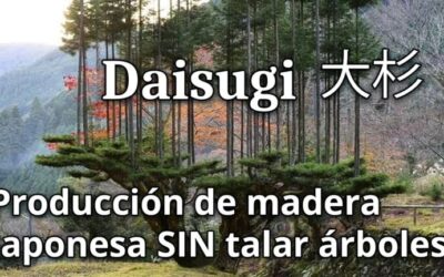 La técnica de poda en jardines japoneses: arte y equilibrio
