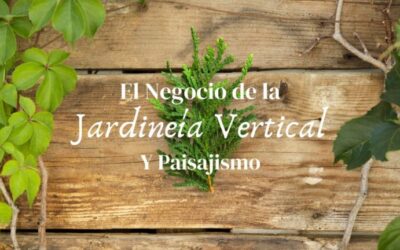 5 Estrategias de Jardinería Empresarial para el Éxito