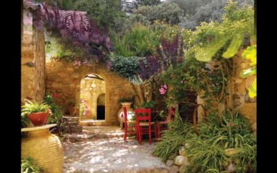 Combinación de plantas en jardines mediterráneos