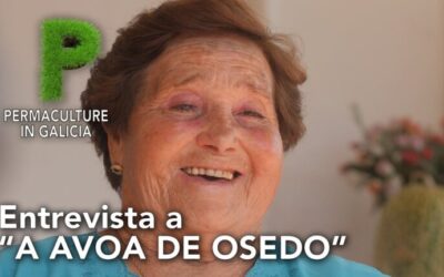 Plantas autóctonas en Coruña: Flora nativa en la región gallega