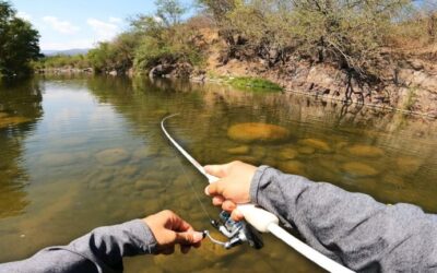 Pesca en el río: consejos y técnicas