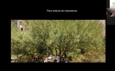 Jardines sostenibles en zonas áridas: Consejos y técnicas