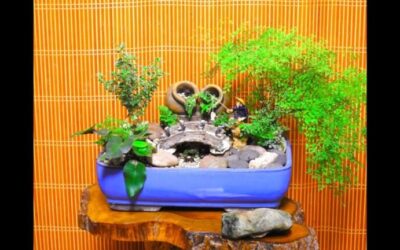 Jardines Japoneses en Miniatura: Belleza en Pequeña Escala