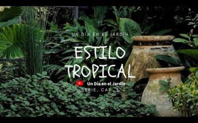 Diseño de jardines tropicales: arquitectura y paisajismo